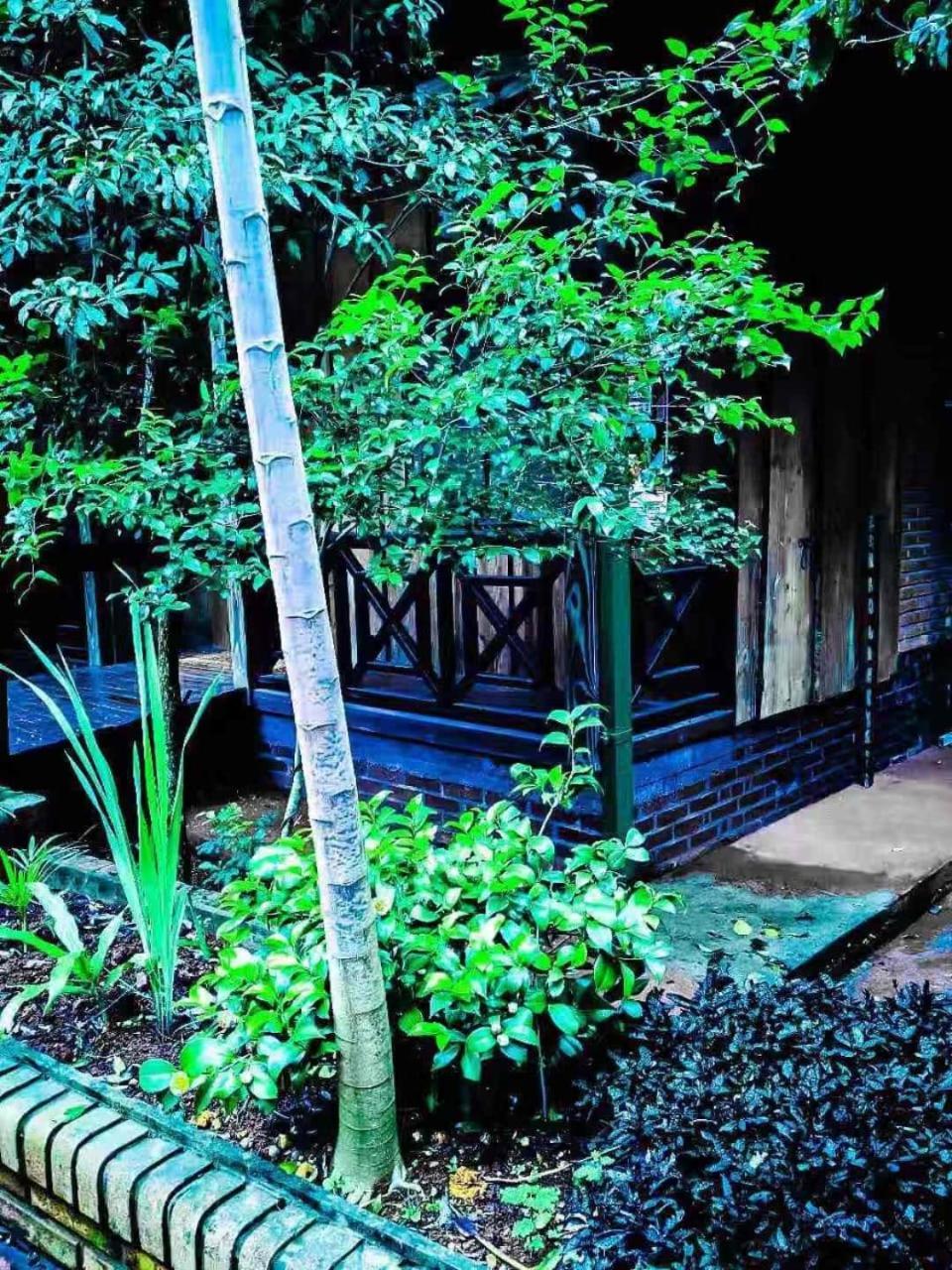 Palo Rosa Lodge Puerto Iguazu Bagian luar foto